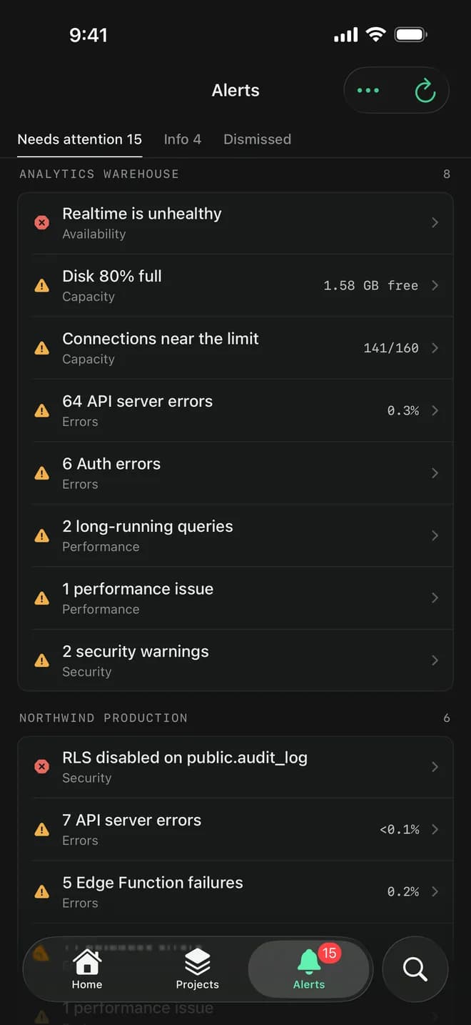 Basewatch's Alerts tab grouping what needs attention by project.